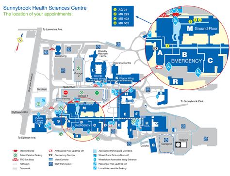 Location of Your Appointments - Mastectomy - Sunnybrook Hospital