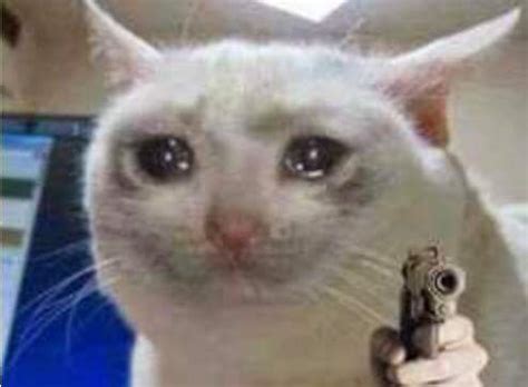 Sad cat with gun Blank Template - Imgflip