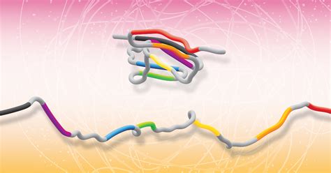 Studying the patterns of protein folding