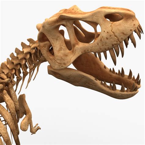 Dinosaur T-Rex Bones 3D Model $99 - .c4d .max .obj .lwo .3ds .ma - Free3D