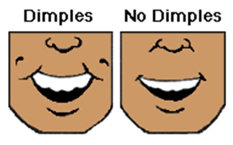 Cleft Chin Genetics