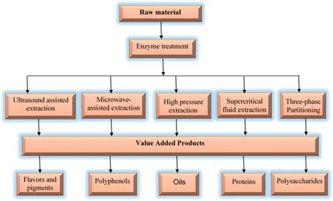 Organic Cold Pressed Oils Extraction Process - Guires Food Research Lab