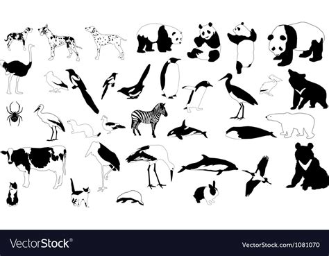 Black and white animals Royalty Free Vector Image