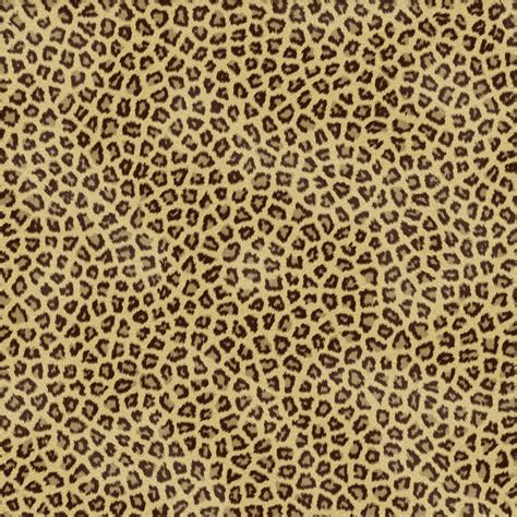 Cheetah Print Backgrounds - Wallpaper Cave