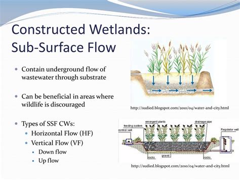 PPT - Constructed Wetlands PowerPoint Presentation, free download - ID:1541480