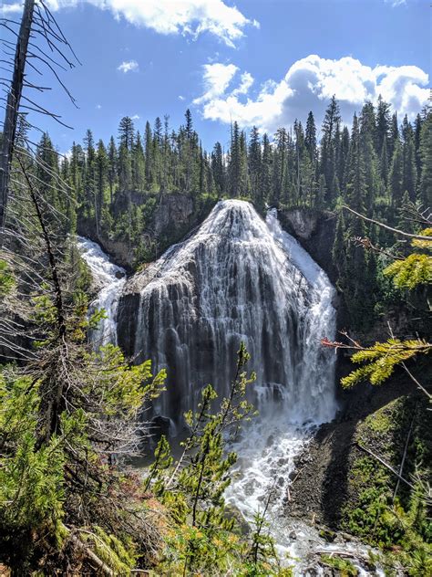 Union Falls in Yellowstone National Park [OC] [3024 x 4032] : r/EarthPorn