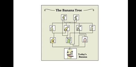 The family tree of Charles II of Spain, cca 1670, colorized : r/SamONellaAcademy