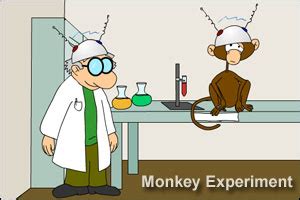 Monkey Experiment - Walkthrough, comments and more Free Web Games at ...