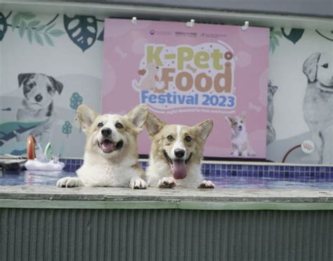 K-PET FOOD FESTIVAL 2023 SUCCESSFULLY PROVIDES A FUN EXPERIENCE WITH VARIETY OF NUTRITIONAL PET ...