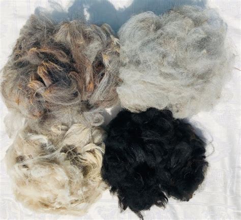 Raw Alpaca Fiber - Etsy