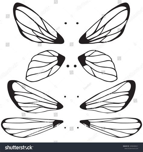 Dragonfly Wings Drawings