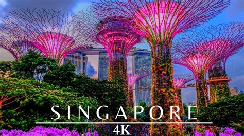 Singapore 4K Night 🇸🇬 Gardens By The Bay - YouTube