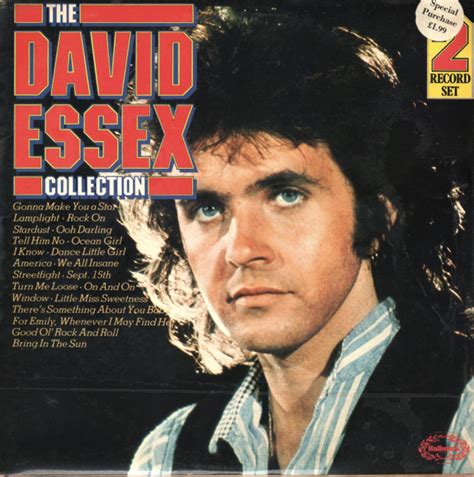 David Essex - The David Essex Collection | Releases | Discogs