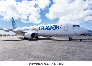 flydubai Logo Vector (.EPS) Free Download