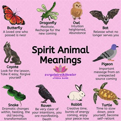 Have you been seeing spirit animals? In dreams or real life? Are one of these your personal ...