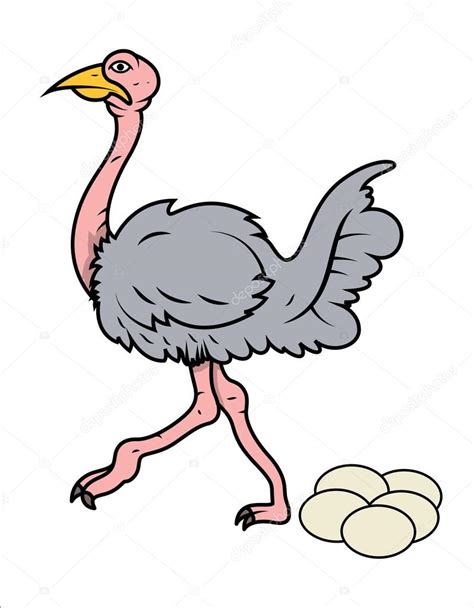 Cartoon ostrich eggs | Cartoon Ostrich Eggs — Stock Vector © baavli #69647299