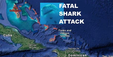 CA Woman Jordan Lindsay ID'd As Shark Attack Victim While Visiting The Bahamas - TheCount.com
