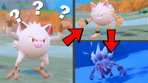 How to Find Mankey Evolve it into Primeape Then Annihilape in Pokemon Scarlet & Violet - YouTube