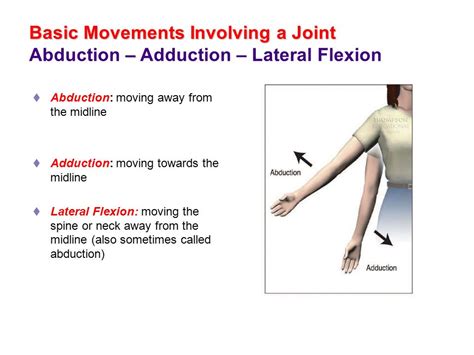 Abduction movement exercise