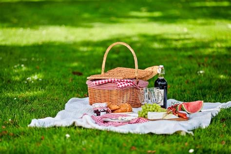 Experience these best picnic spots in Cape Town! - News Invasion 24