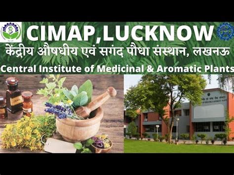 CIMAP, LUCKNOW || CSIR-CENTRAL INSTITUTE OF MEDICINAL AND AROMATIC ...