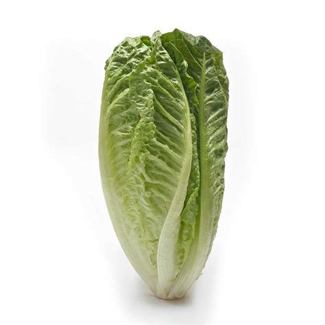 Romaine lettuce