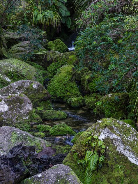 Abel Tasman Coast Track Day 3: Bark Bay to Awaroa | Kevin's Travel Blog