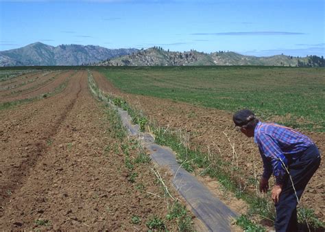 Public Domain Picture | Windbreaks reduce soil erosion from wind and ...