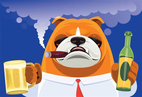 Dog Drinking Beer Illustrations, Royalty-Free Vector Graphics & Clip Art - iStock