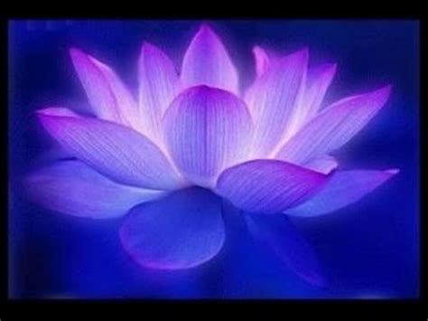 Violet Flame Meditation – Higher Density Blog