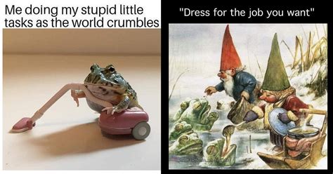 Frog Memes: 30 Memes That'll Croak You Up Instantly