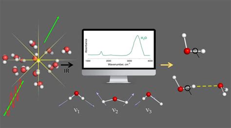 Dissecting molecular vibration - Advanced Science News