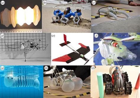 Fundamentals of soft robot locomotion | Journal of The Royal Society Interface