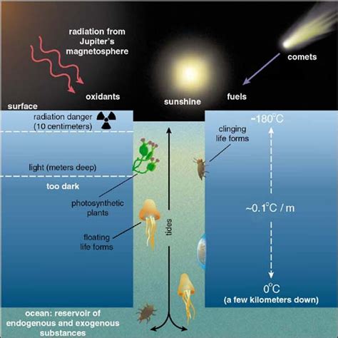 science based - Can Europan ice cracks sustain complex ecosystems ...