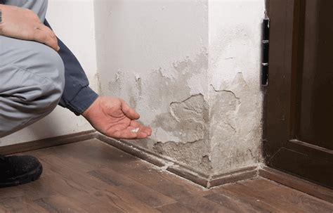 Tips on How to Repair Minor Water Damage in Your Property