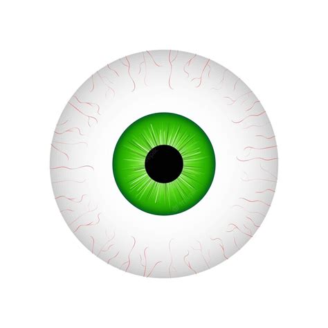 Premium Vector | Realistic human eyeball vector illustration