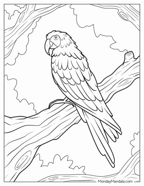 Flying Parrot Coloring Pages