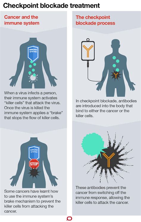 Cancer immunotherapy drugs like Keytruda and Opdivo hold hope for some, but there’s still a way ...