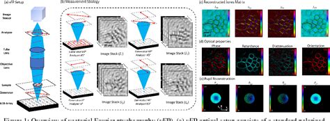 Figure 1 from Quantitative Jones matrix imaging using vectorial Fourier ...