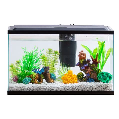 10 Gallon Aquarium Review - Aquarium Dimensions