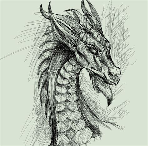 A cool dragon drawn by a friend of mine : r/drawing