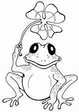 Top 12 Frog Coloring Pages For All Ages  sketch template