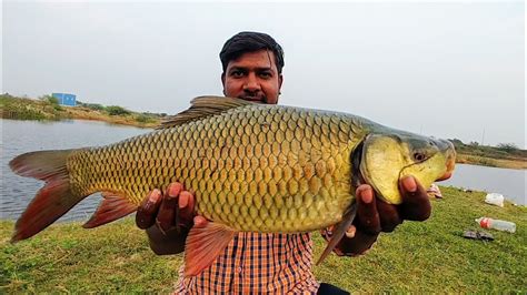 Amazing fishing techniques | Rohu fishing technique | Big rohu fish ...