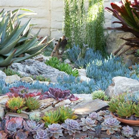 Sherman Gardens Succulent Tapestry and Courtyard | Succulents and Sunshine