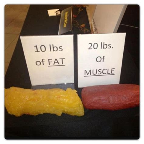 What 10 pounds of fat looks like vs. 20 pounds of muscle! | Dance & Fitness Inspiration ...