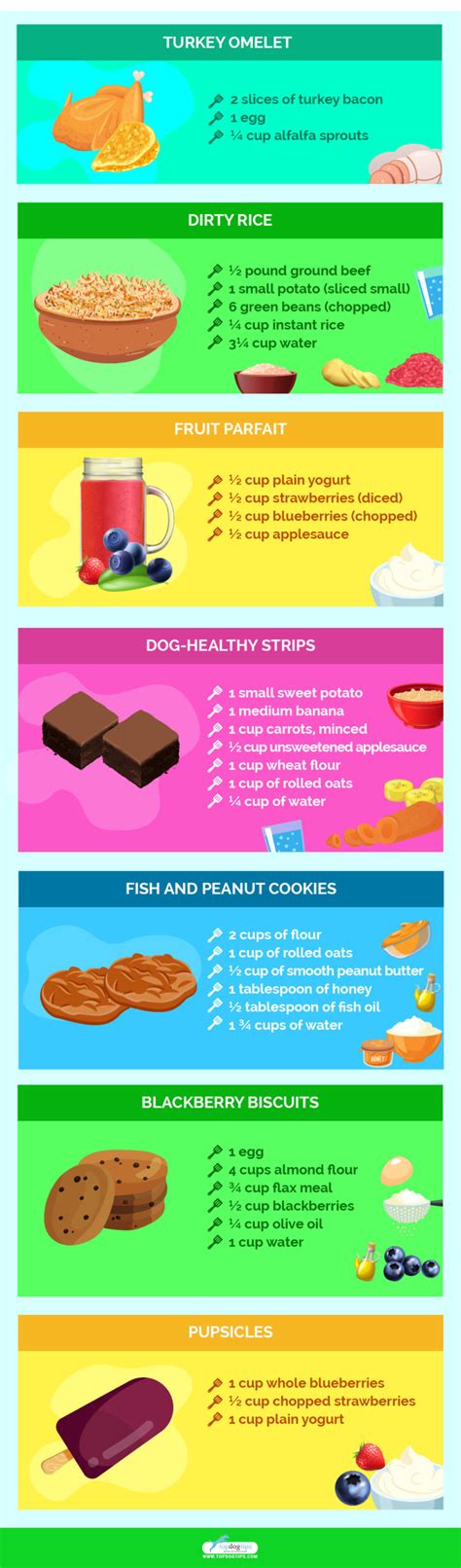 13 Homemade Dog Food Recipes for Small Dogs – Top Dog Tips