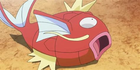 Pokemon Sword & Shield's Newest Competition Is All About Magikarp