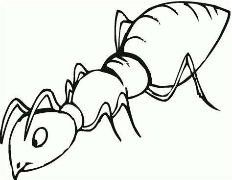 Ant clipart sketch, Ant sketch Transparent FREE for download on ...