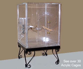 Perch Factory | Acrylic Bird Cage, Plexiglass Bird Cage for Parrots