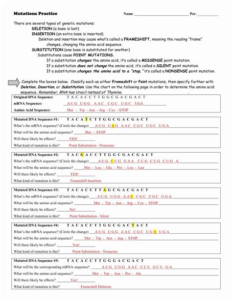 Protein Synthesis Practice Worksheets